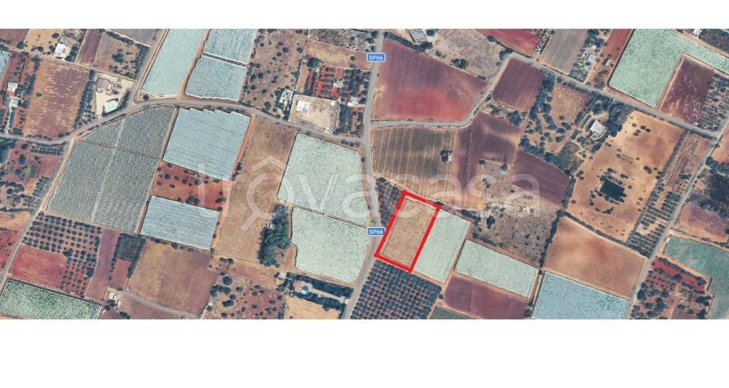 terreno agricolo in vendita a Mola di Bari