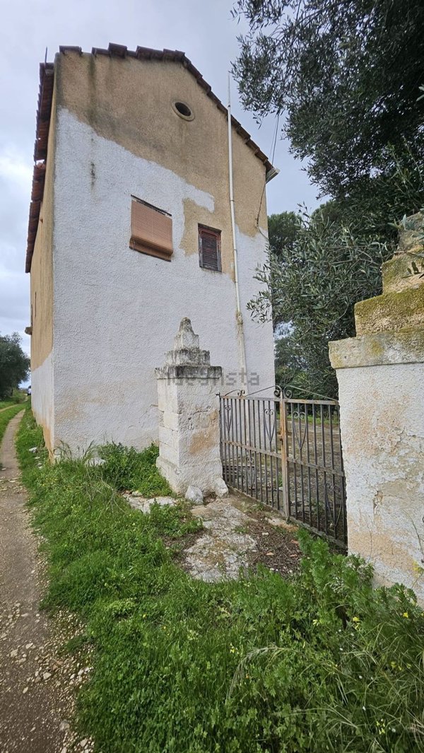 esavano in vendita a Mola di Bari
