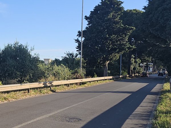 terreno agricolo in vendita a Mola di Bari
