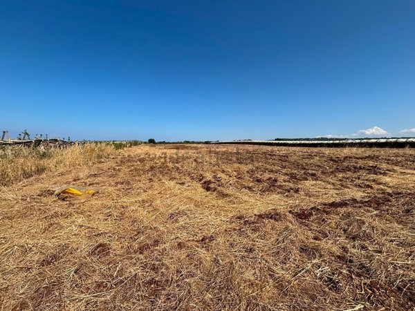 terreno agricolo in vendita a Mola di Bari