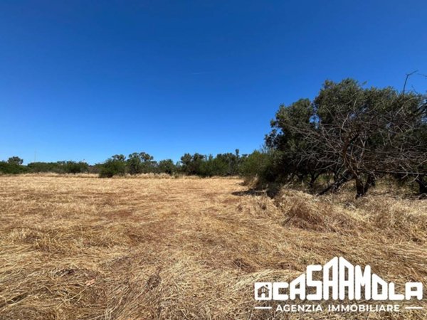 terreno agricolo in vendita a Mola di Bari