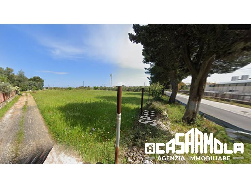 terreno agricolo in vendita a Mola di Bari