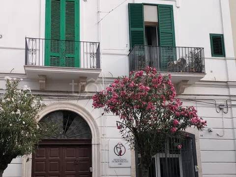 appartamento in vendita a Mola di Bari
