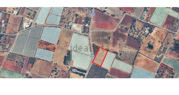 terreno agricolo in vendita a Mola di Bari