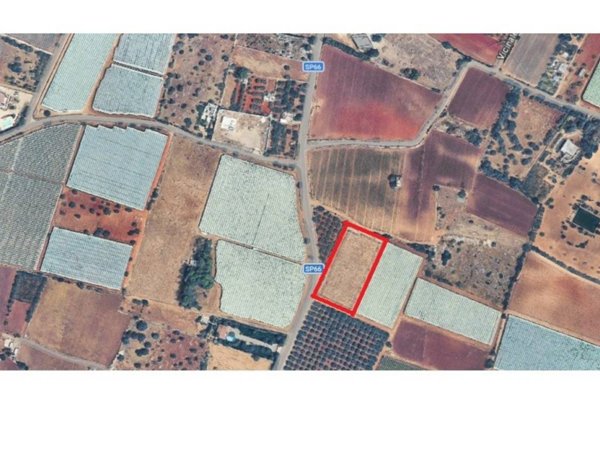 terreno agricolo in vendita a Mola di Bari