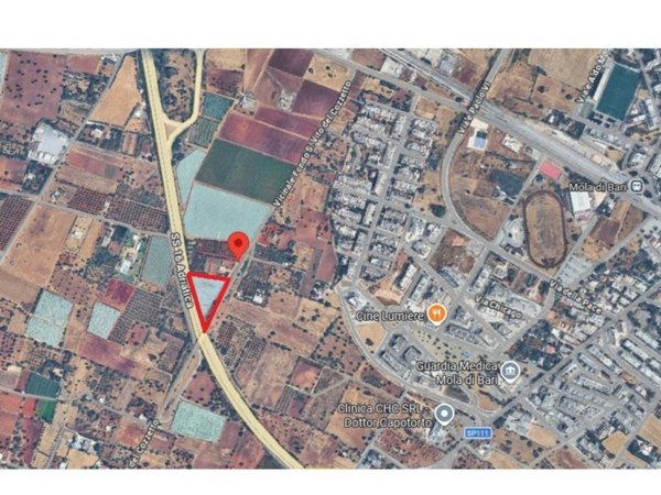 terreno agricolo in vendita a Mola di Bari