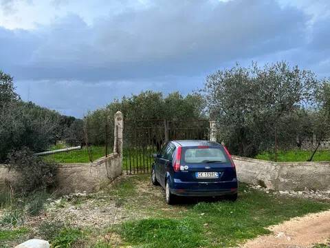 terreno agricolo in vendita a Mola di Bari