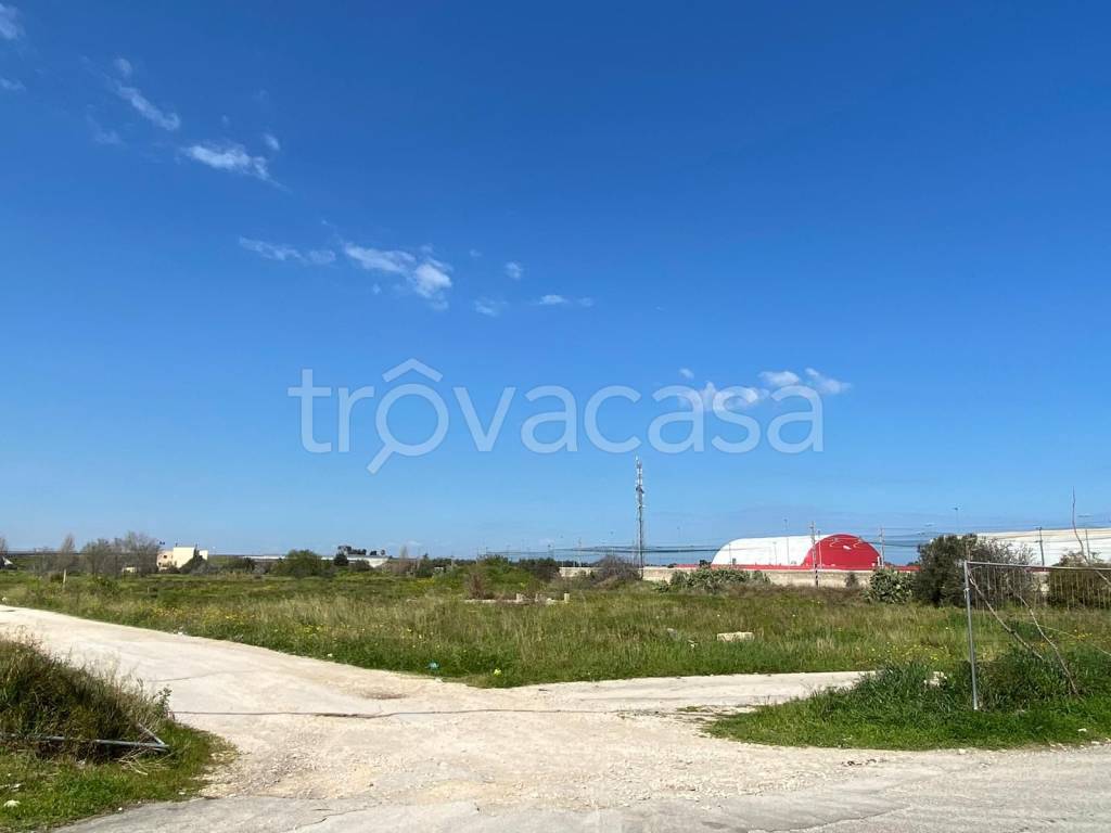 terreno agricolo in vendita a Molfetta