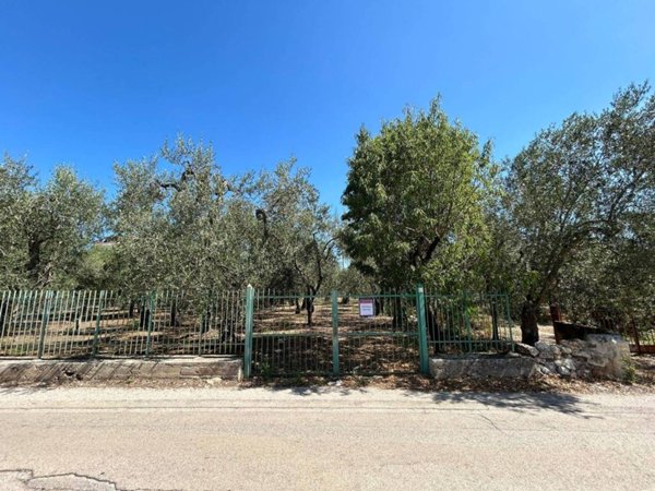 terreno agricolo in vendita a Molfetta