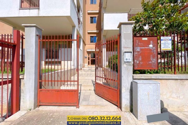 appartamento in vendita a Molfetta