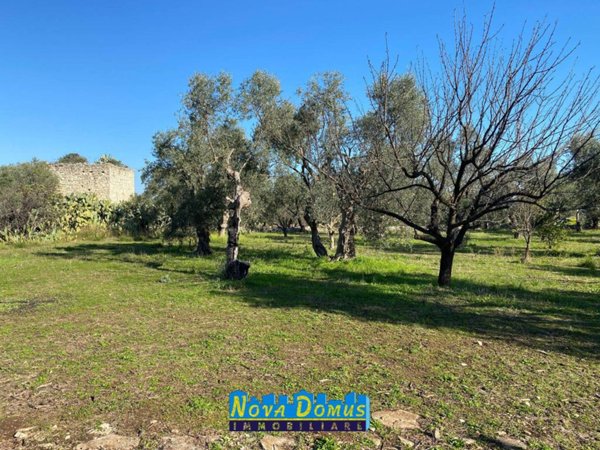 terreno agricolo in vendita a Molfetta