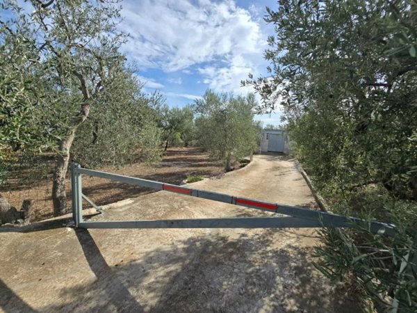 terreno agricolo in vendita a Molfetta
