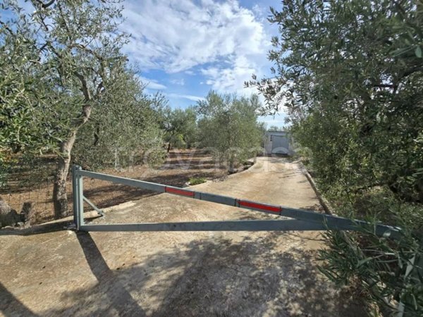 terreno agricolo in vendita a Molfetta