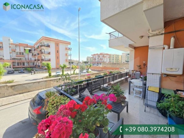 appartamento in vendita a Molfetta