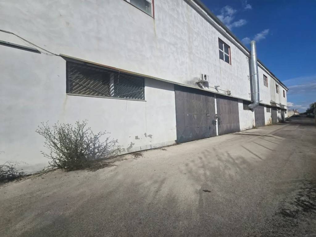 locale commerciale in vendita a Molfetta