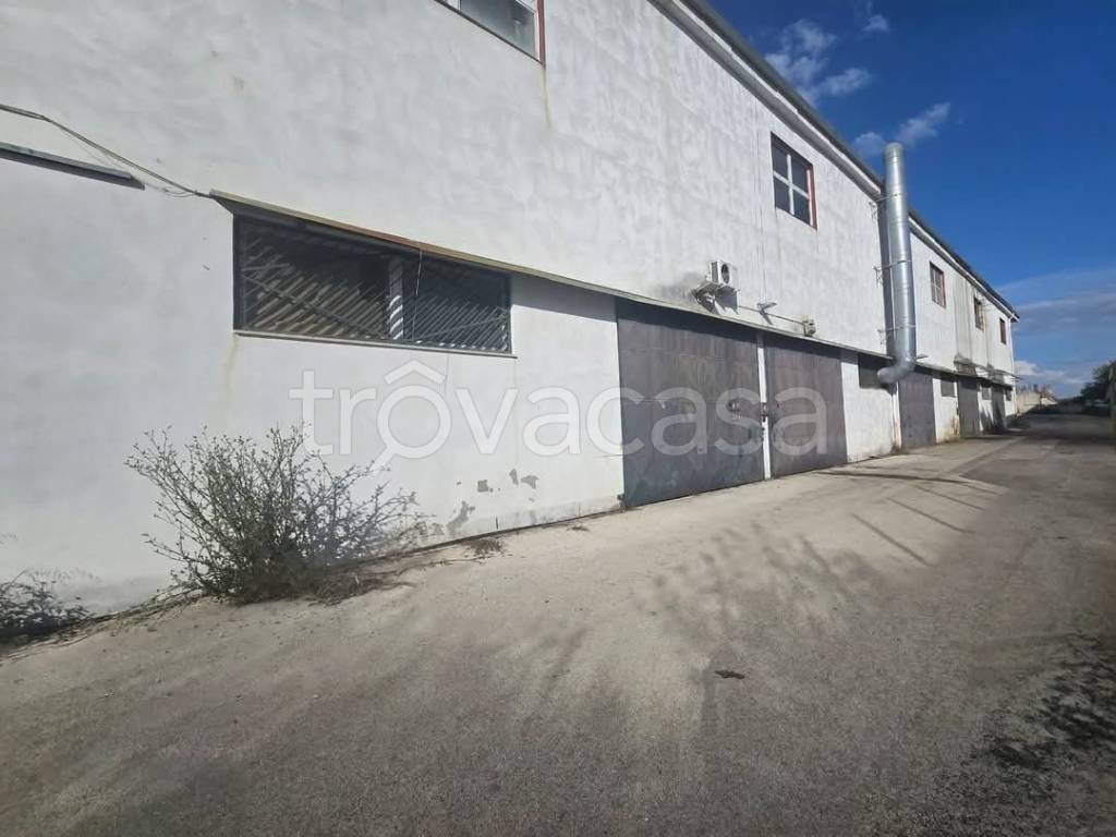 locale commerciale in vendita a Molfetta