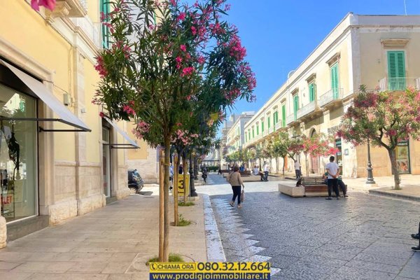 appartamento in vendita a Molfetta in zona Centro Città