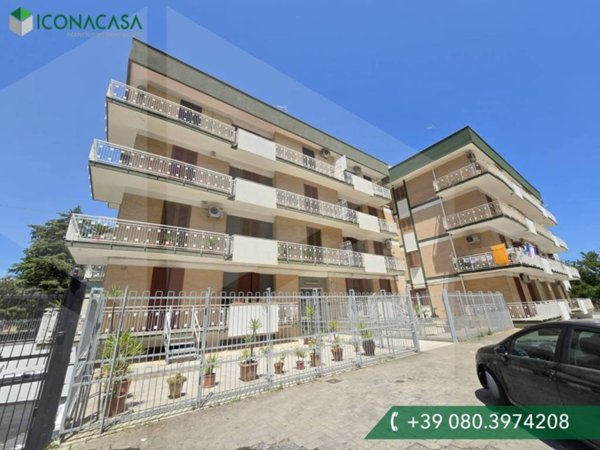 appartamento in vendita a Molfetta