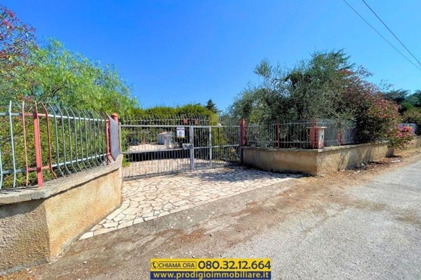 appartamento in vendita a Molfetta