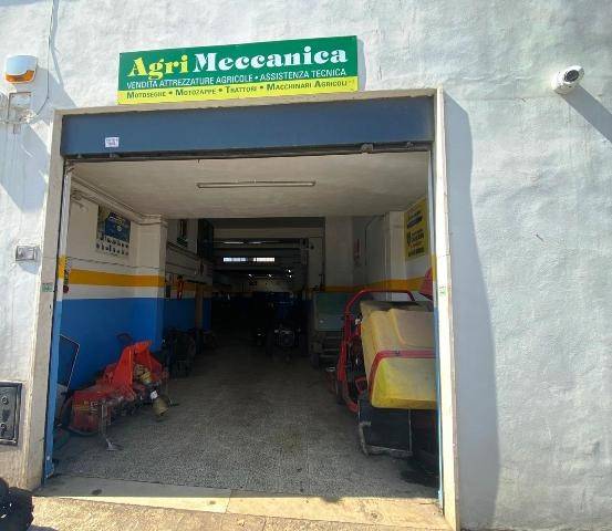 negozio in vendita a Molfetta