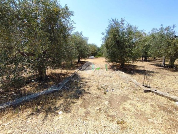 terreno agricolo in vendita a Molfetta