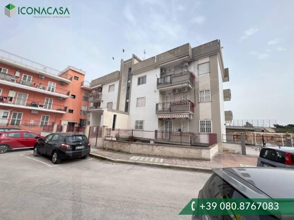 appartamento in vendita a Molfetta in zona Centro Città