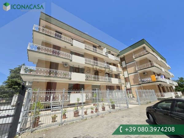 appartamento in vendita a Molfetta