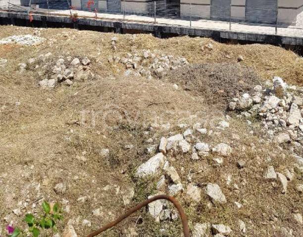 negozio in vendita a Molfetta