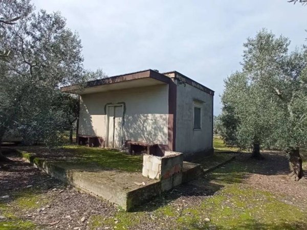 casa indipendente in vendita a Molfetta