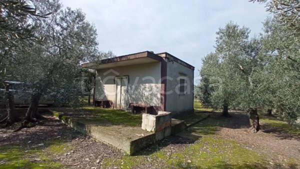 casa indipendente in vendita a Molfetta