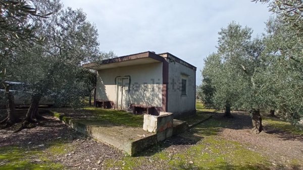 appartamento in vendita a Molfetta