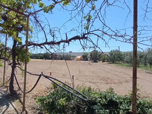 appartamento in vendita a Molfetta