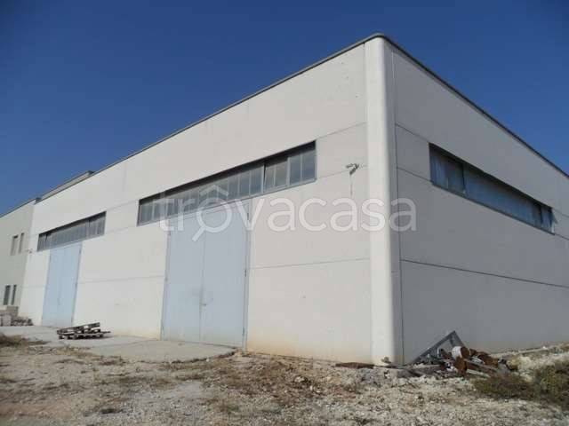 appartamento in vendita a Molfetta