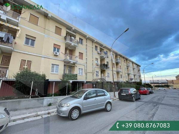 appartamento in vendita a Molfetta