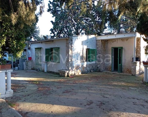 terreno agricolo in vendita a Molfetta