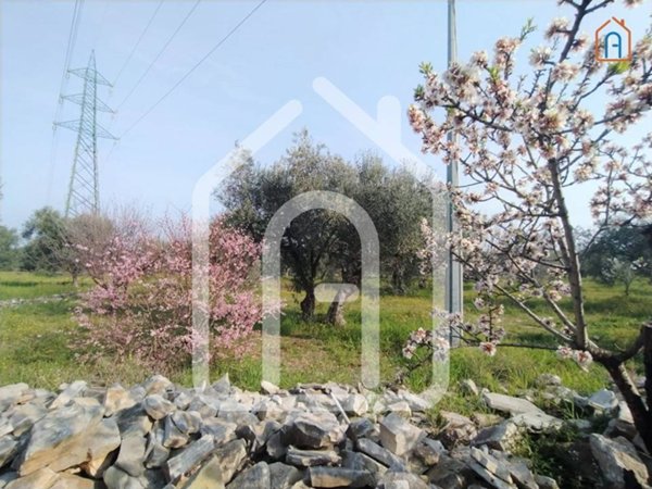 casa indipendente in vendita a Molfetta