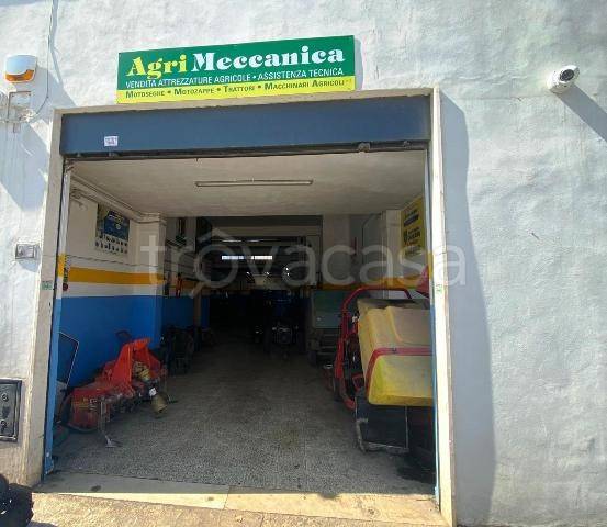 negozio in vendita a Molfetta in zona Madonna della Rosa