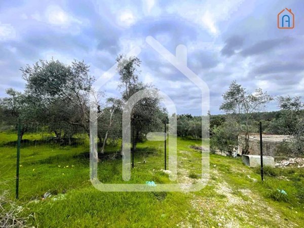 terreno agricolo in vendita a Molfetta in zona Madonna della Rosa