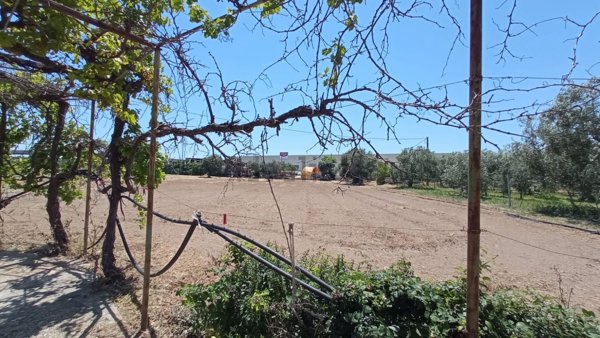 appartamento in vendita a Molfetta