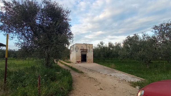 terreno edificabile in vendita a Molfetta