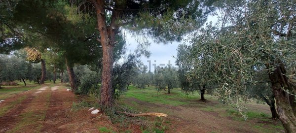 casale in vendita a Molfetta