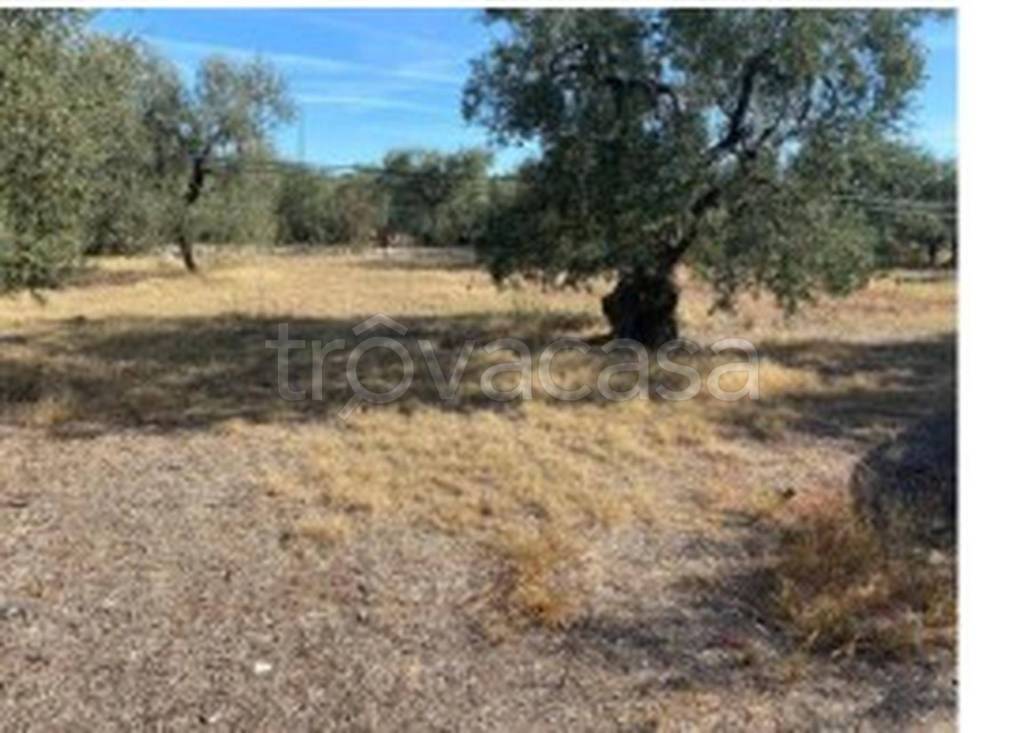 terreno edificabile in vendita a Molfetta