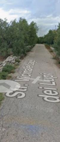 terreno agricolo in vendita a Molfetta