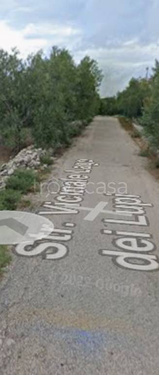 terreno agricolo in vendita a Molfetta