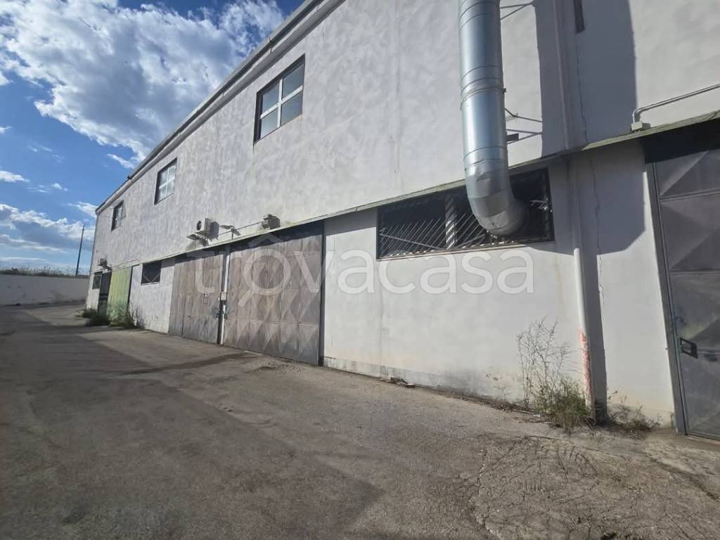 locale commerciale in vendita a Molfetta