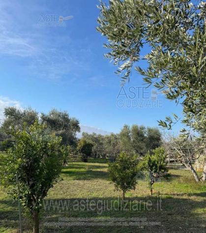 terreno agricolo in vendita a Molfetta