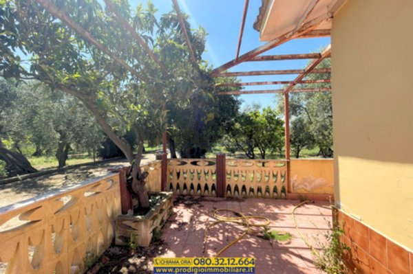 casa indipendente in vendita a Molfetta