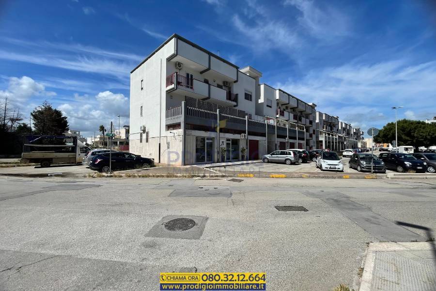appartamento in vendita a Molfetta