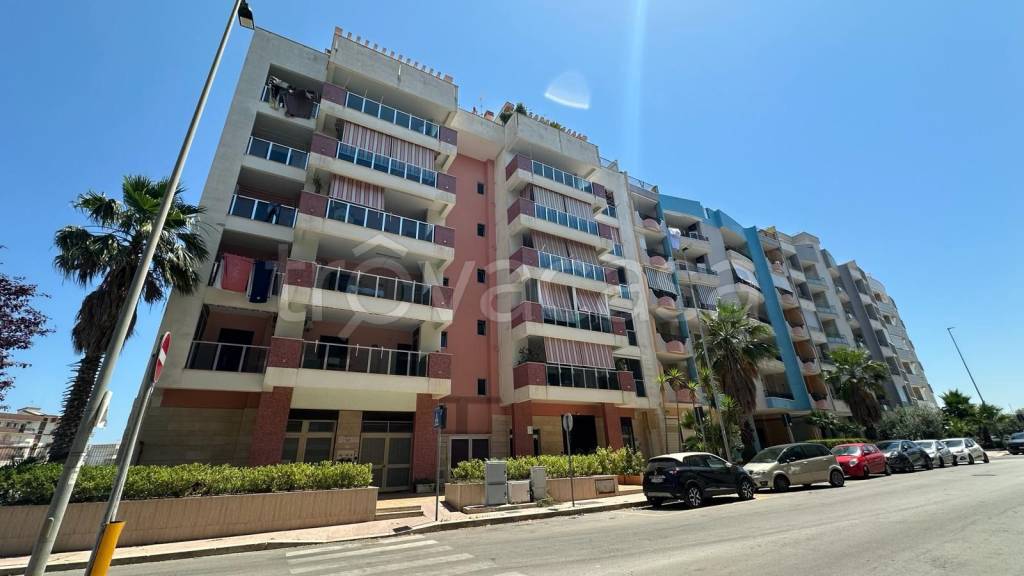 appartamento in vendita a Molfetta in zona Madonna della Rosa