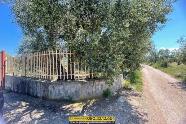 casa indipendente in vendita a Molfetta